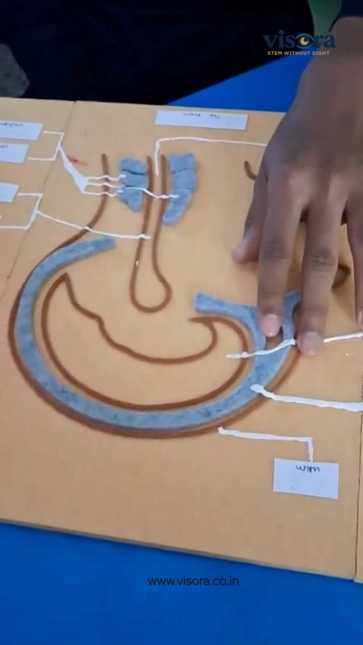 A hand reading a Reflexology Kit placard, tracing the raised relief of an acupressure zone.