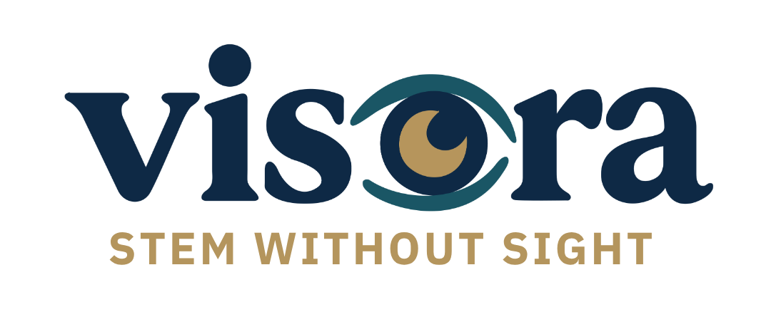 Visora — home